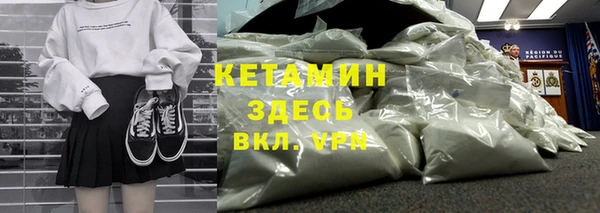 шишки Елизово