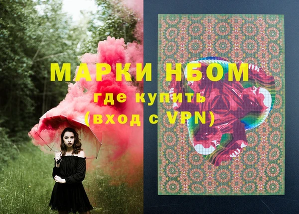 шишки Елизово