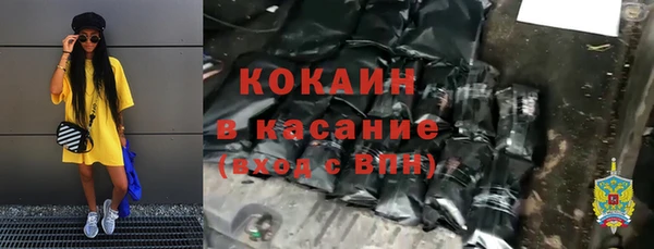 шишки Елизово