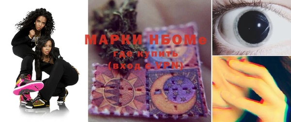 шишки Елизово