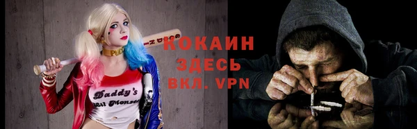 шишки Елизово