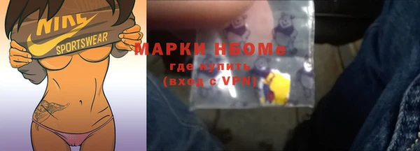 шишки Елизово