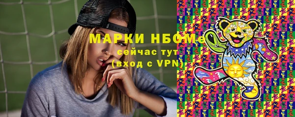 шишки Елизово