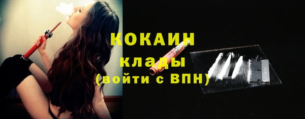 шишки Елизово