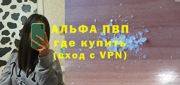 шишки Елизово