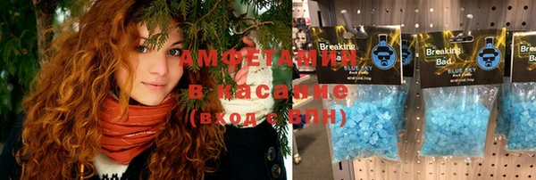 шишки Елизово