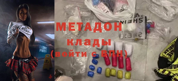 шишки Елизово