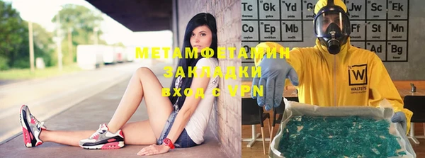 шишки Елизово
