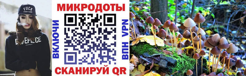 Галлюциногенные грибы мицелий  Купить где  Вологда 